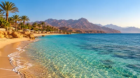Turquoise Red Sea water, a palm-lined beach and arid Sinai mountains